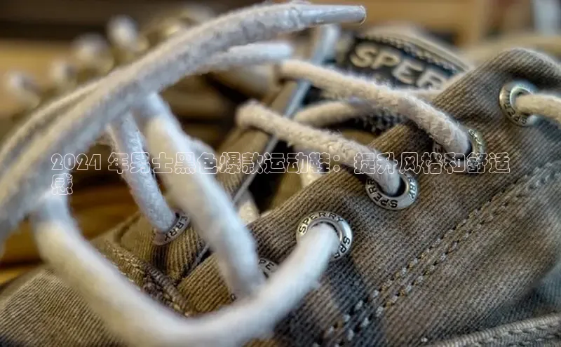 b体育下载入口app百度学术2024 年男士黑色爆款运动鞋：提升风格和舒适
感