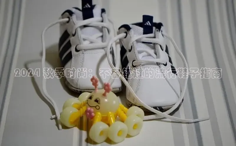 bsports必一体育网页版登录中文在线2024 秋季时尚：不容错过的流行鞋子指南