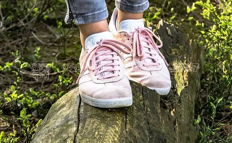 必一运动官网百度取证