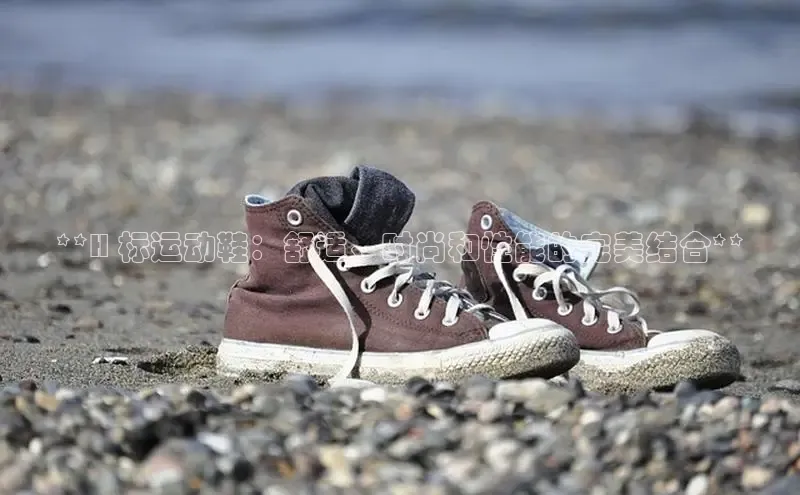 bsports网页版登录官方入口百度安全社区**H 标运动鞋：舒适、时尚和性能的完美结合**