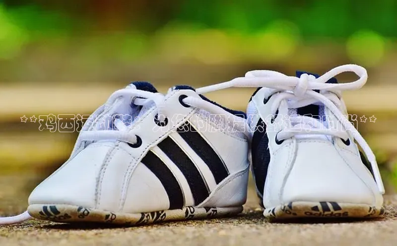 Bsport网页版百度数据开放平台