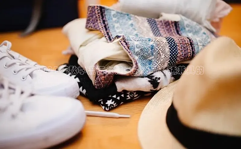 bsports网页版轻美电器2024 年秋季流行女鞋：时尚与舒适兼具的
休闲选择