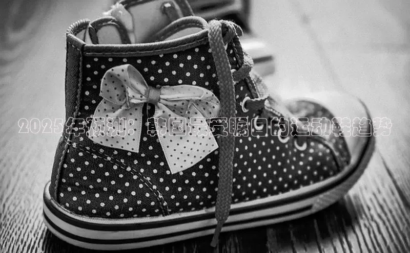 B体育官方网站入口官网