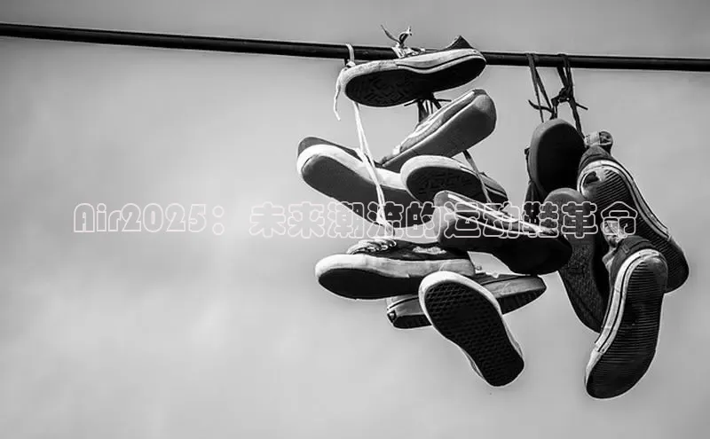 B体育网页登录版