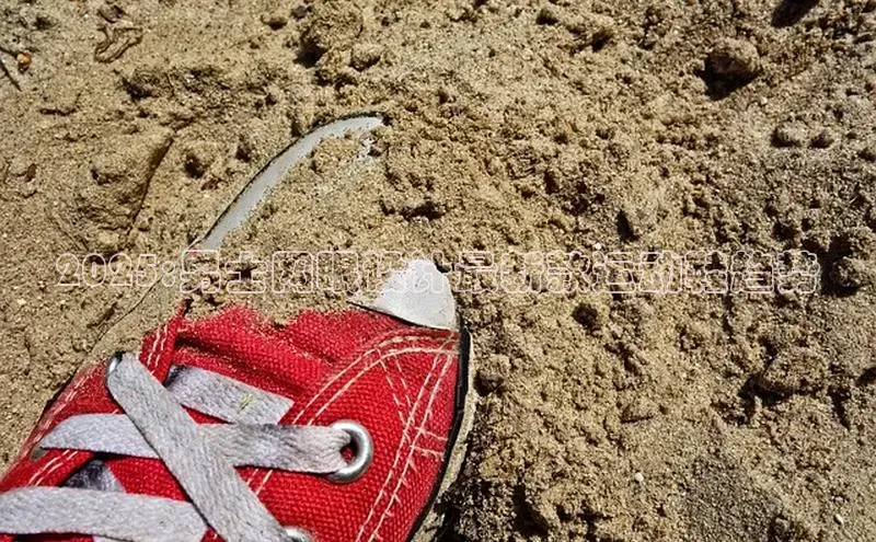 必一运动bsport体育