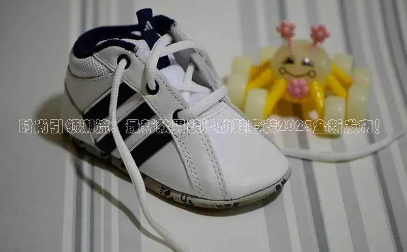 B·体育APP登录入口