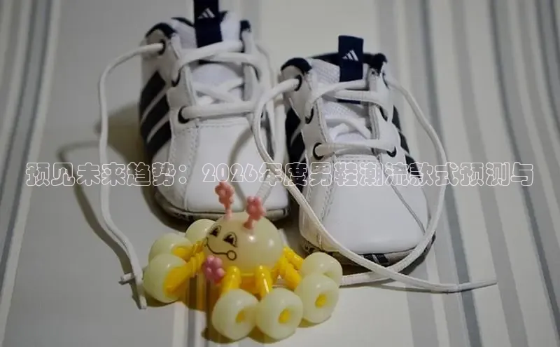 B—sports旧版下载