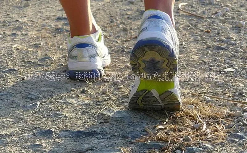 2026赛季：超越传统的Adidas德训鞋设计策略
